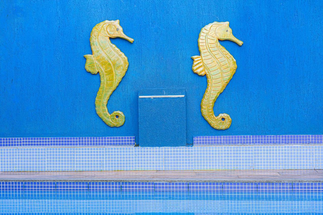 Casa Jaguar Buzios Suites A 3 Minutos Da Praia Geriba 외부 사진