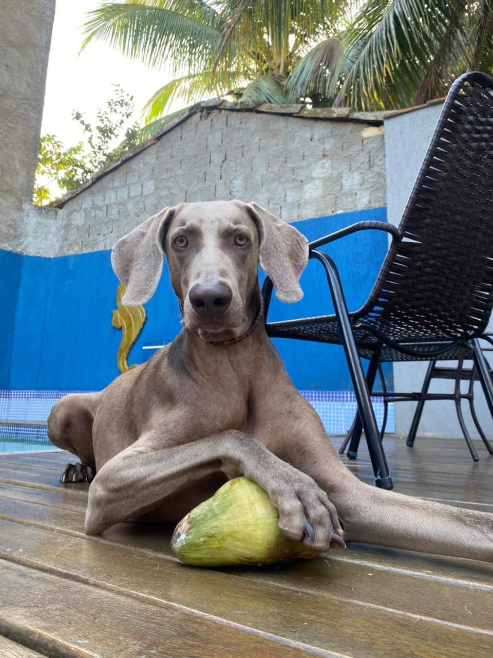 Casa Jaguar Buzios Suites A 3 Minutos Da Praia Geriba 외부 사진